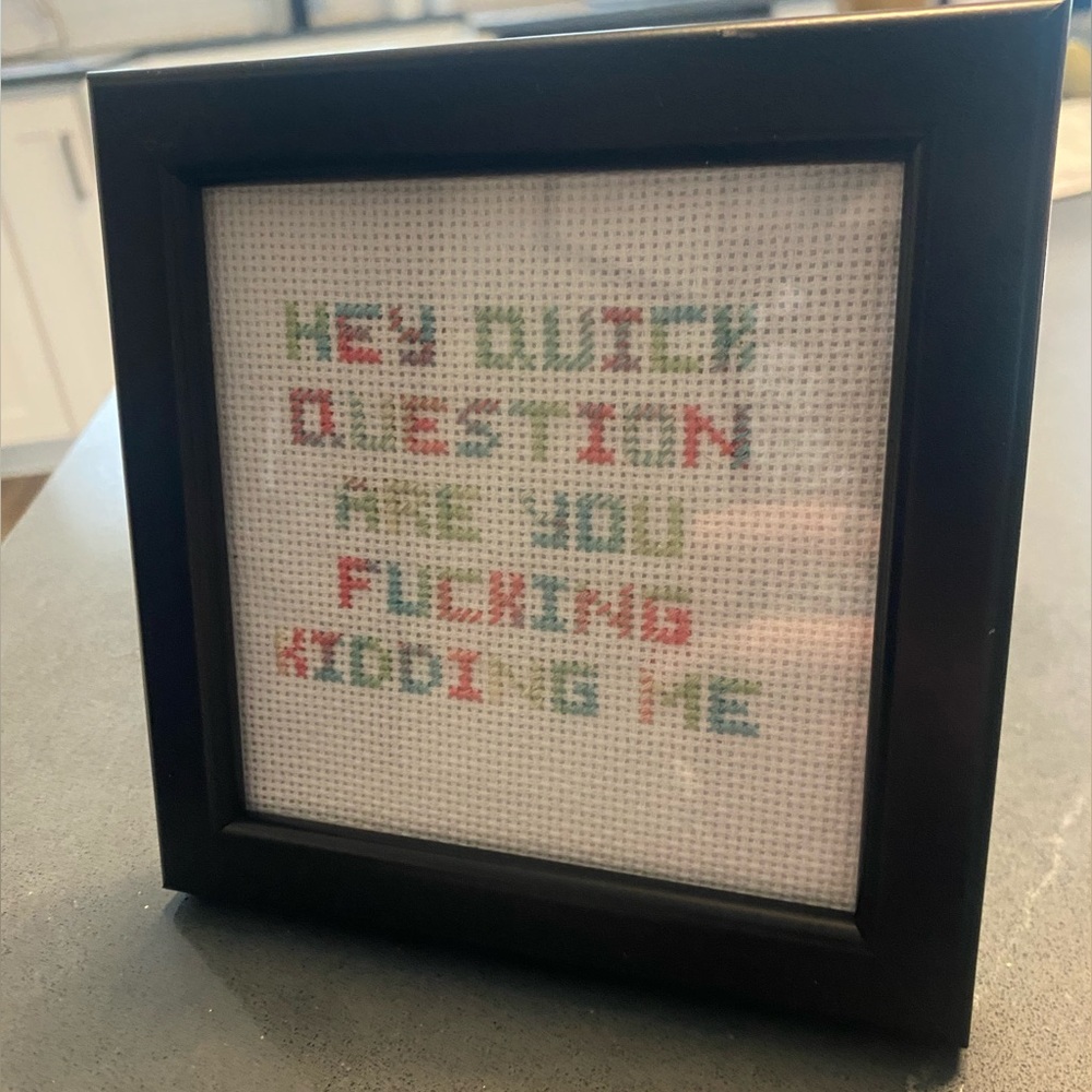 Framed Cross-Stitch “ Hey quick question are you fucking kidding me “ text
